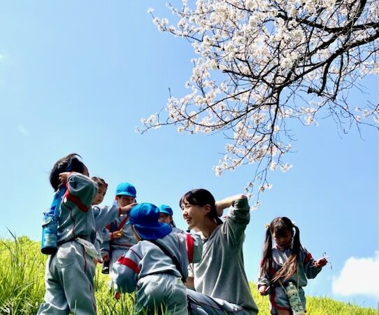 春爛漫　（１）　