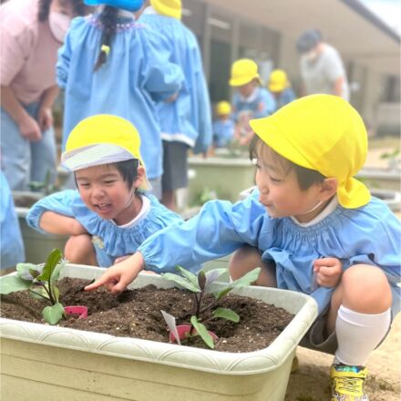夏が楽しみ