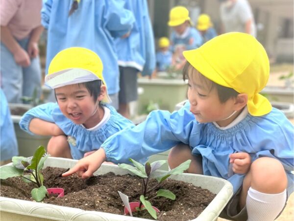 夏が楽しみ