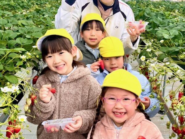 おなかいっぱいに・・・いちごがり